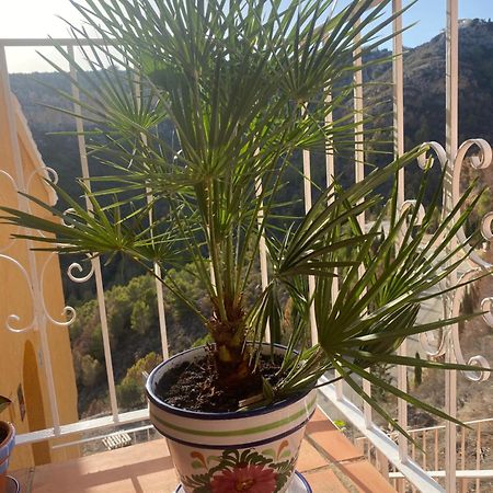 Apartman Marcella, Cumbre Del Sol Kültér fotó